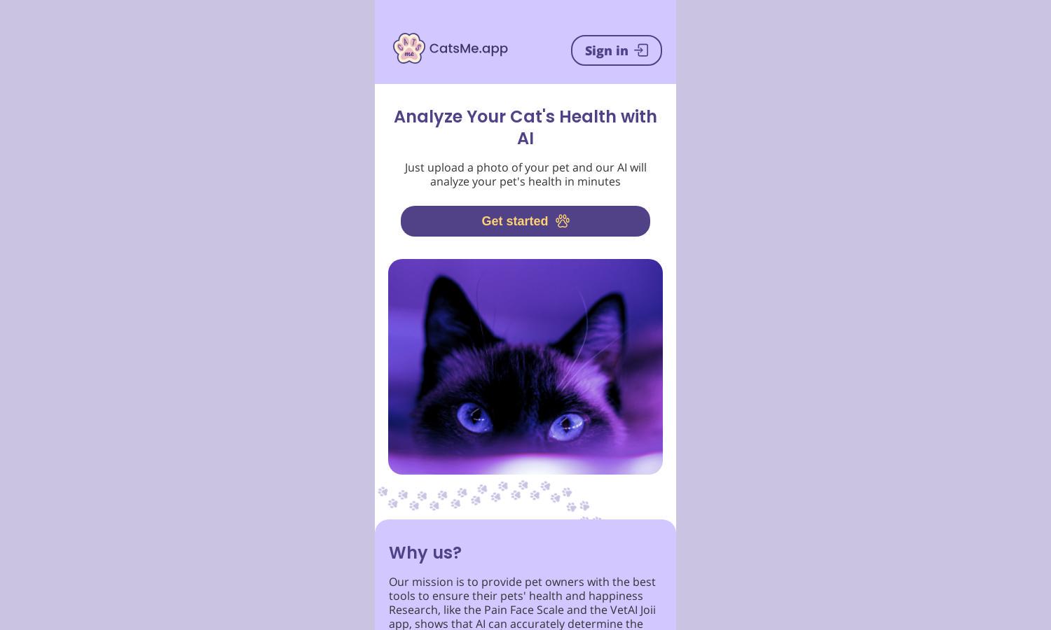 CatsMe Website