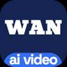 Wan Video