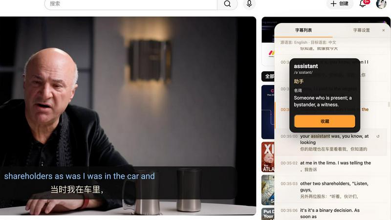 Tubelingo application interface and features